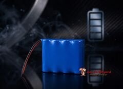 4.8V 1000mAh Ni-Cd Batarya
