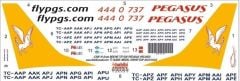 Babibi DAT01122 1/200 Pegasus, Boeing 737-800, Dekal Çıkartma