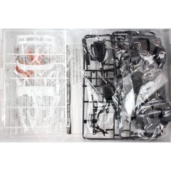 05451 1/24 RODEXSTYLE S15 SILVIA