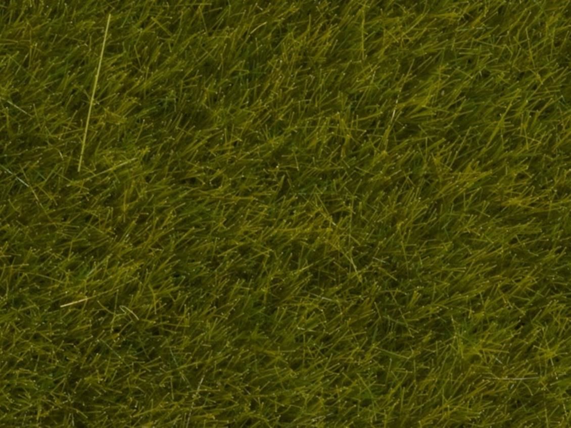 Noch 7090 Yabani Otlar, Çayır Yeşili, 6 mm, 100 Gram Diorama Malzemesi