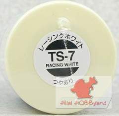 TS-7 Racing White 100ml Enamel Boya