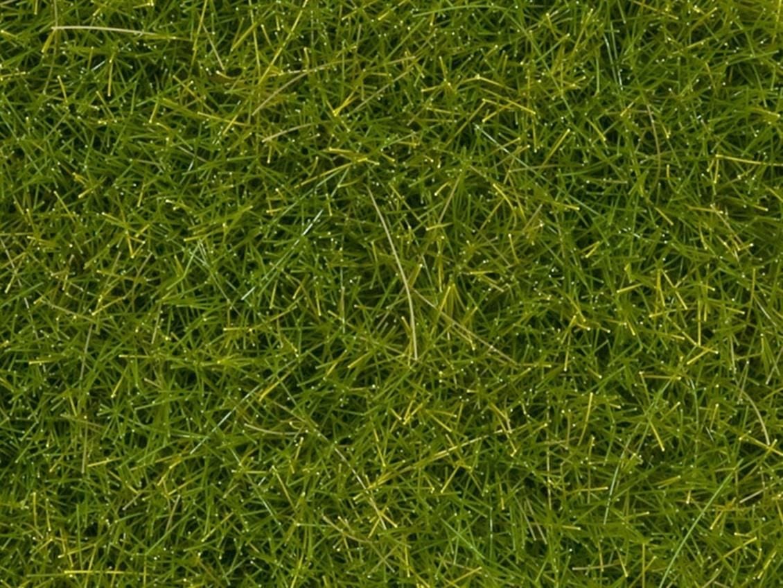 Noch 7097 Yabani Otlar, Açık Yeşil, 12 mm, 80 Gram Diorama Malzemesi
